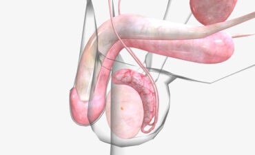 Harmonização peniana em Manaus: garanta sua autoestima
